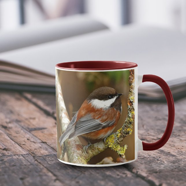 Niedlicher Kastaniengegarter Chickadee auf dem Bir Tasse (Von Creator hochgeladen)