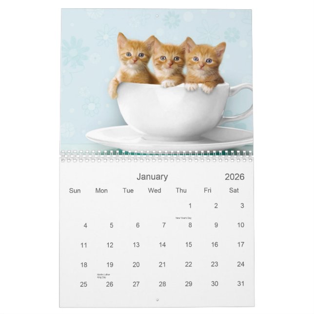 Niedlicher Kätzchen-Kalender Kalender (Jan 2026)