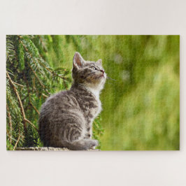 Niedlicher Katzengrau Kätzchen Grüner Kiefernbaum