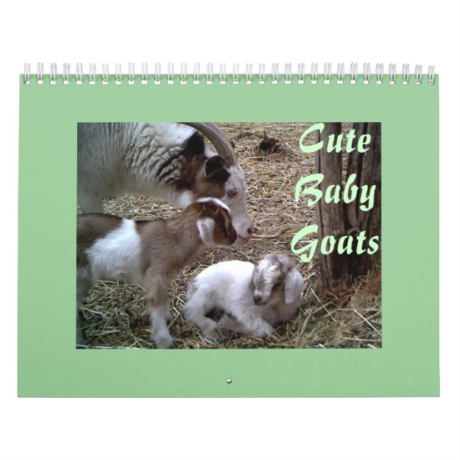 Niedlicher Kinderziegen-Kalender Kalender (Titelbild)