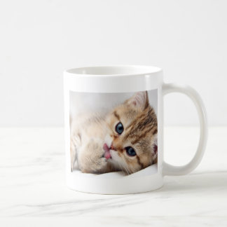 NIEDLICHER KITTY KAFFEETASSE