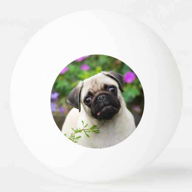 Niedlicher Kitz-Mopswelpe Tischtennisball (Vorderseite)