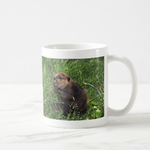 Niedlicher kleiner Biber Kaffeetasse