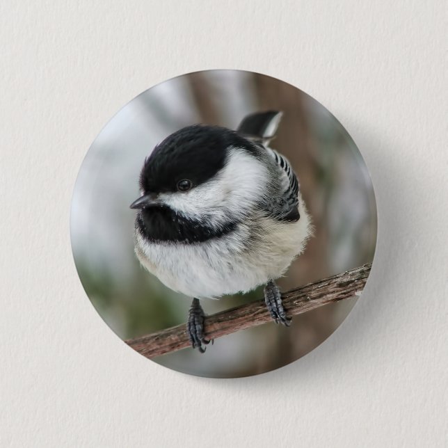 Niedlicher kleiner Chickadee Button (Vorderseite)
