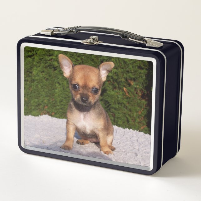 Niedlicher kleiner Chihuahua-Welpenhund Metall Brotdose (Vorderseite)