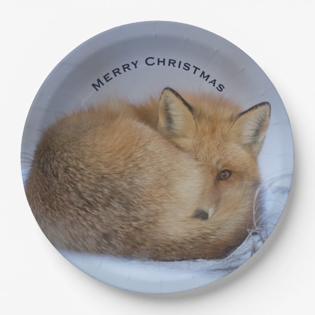 Niedlicher kleiner Fox knurrte Foto Weihnachten Pappteller (Vorderseite)