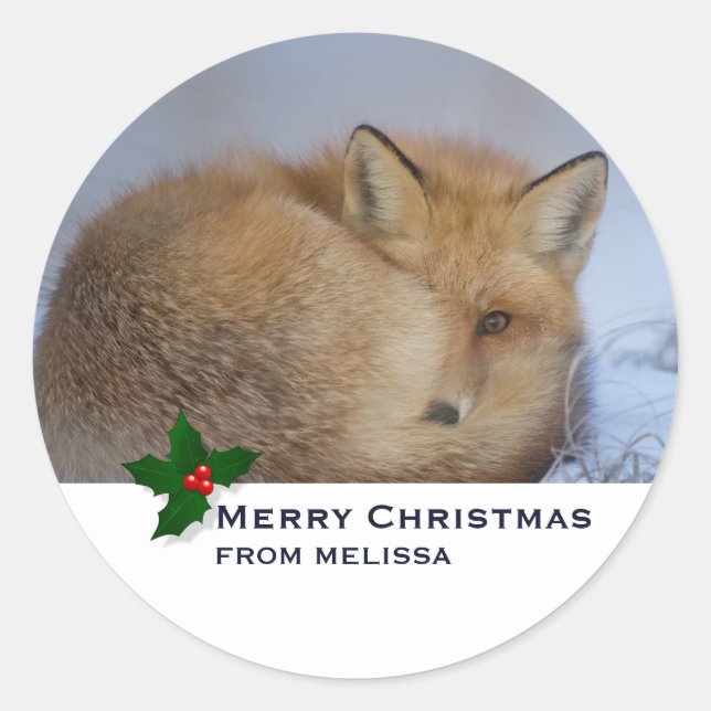 Niedlicher kleiner Fox knurrte Foto Weihnachten Runder Aufkleber (Vorderseite)