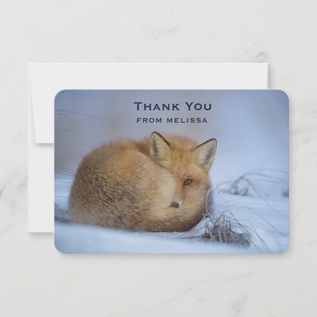 Niedlicher kleiner Fuchs hat das Foto im Winter au Dankeskarte (Vorderseite)