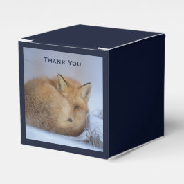 Niedlicher kleiner Fuchs hat das Foto im Winter au Geschenkschachtel