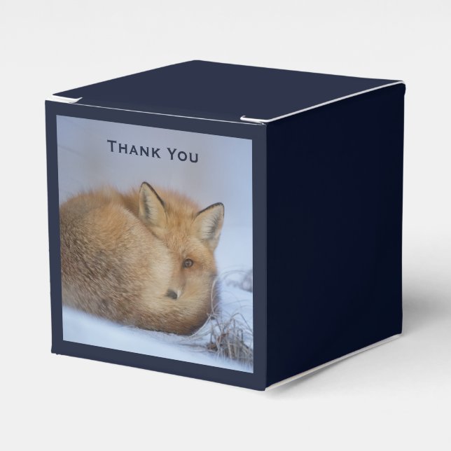 Niedlicher kleiner Fuchs hat das Foto im Winter au Geschenkschachtel (Vorderseite)