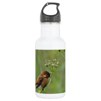 Niedlicher kleiner Hummingvogel Trinkflasche