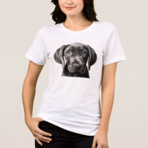 Niedlicher kleiner Hund
