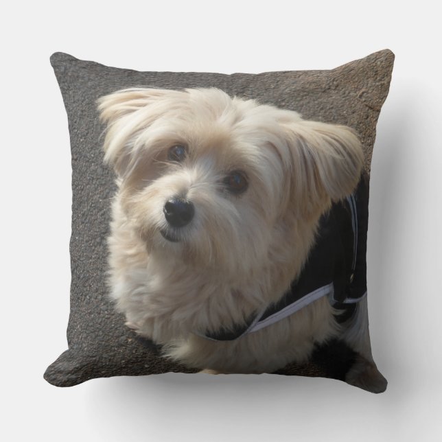 Niedlicher kleiner Hundewirbel Kissen (Vorderseite)