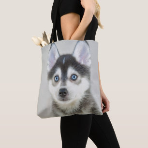Niedlicher kleiner Pomsky Welpe Tasche
