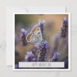 Niedlicher kleiner Schmetterling auf Lavendel, anp