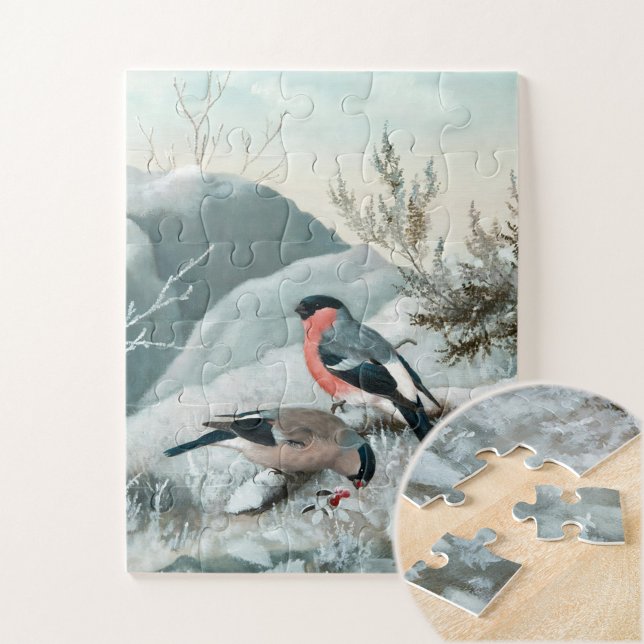 Niedlicher kleiner Vogel, Bullfinch, Art (Von Creator hochgeladen)