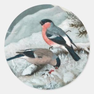 Niedlicher kleiner Vogel, Bullfinch, Art Runder Aufkleber