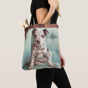 Niedlicher kleiner Welpe auf aquamarinem Stuhl Tasche
