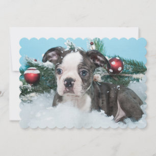 Niedlicher kleiner Welpe, der im Schnee liegt