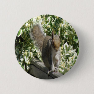 Niedlicher Knopf Button