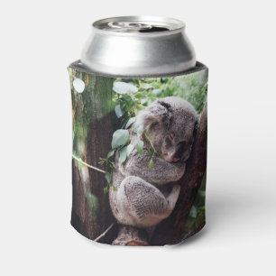 Niedlicher Koala-Bär, der in einem Baum sich Dosenkühler