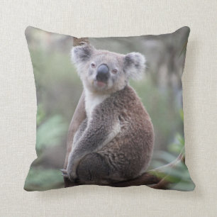 Niedlicher Koala-Bär in einem Baumkronenkissen Kissen