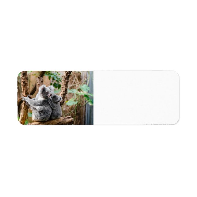 Niedlicher Koala-Bär mit Baby (Vorne)