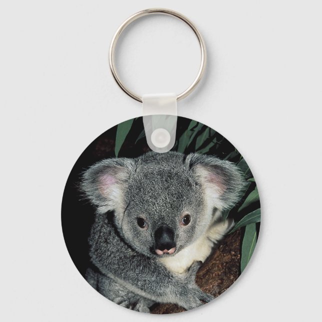 Niedlicher Koala-Bär Schlüsselanhänger (Vorderseite)