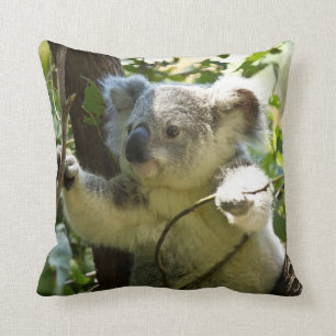 Niedlicher Koala-Bärenkissen Kissen