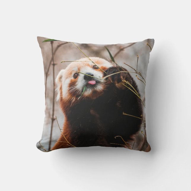 NIEDLICHER KOALA BEAR KISSEN (Vorderseite)