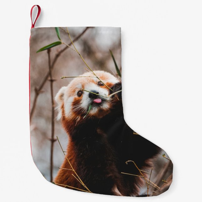 NIEDLICHER KOALA BEAR KLEINER WEIHNACHTSSTRUMPF (Vorderseite)