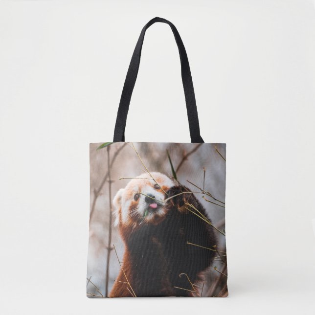 NIEDLICHER KOALA BEAR TASCHE (Vorderseite)
