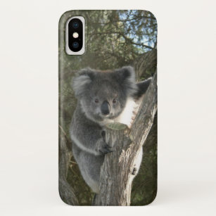 Niedlicher Koala, der einen Baum klettert iPhone X Hülle