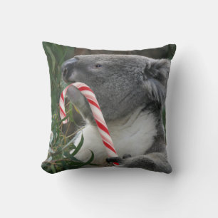 Niedlicher Koala, der Zuckerstange isst Kissen