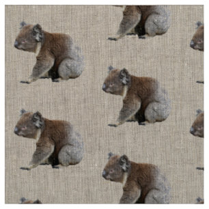 Niedlicher Koala-Foto-Druck Stoff