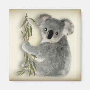 Niedlicher Koala Magnet