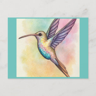 Niedlicher Kolibri in Pastelltönen Postkarte