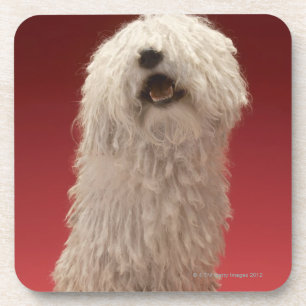 Niedlicher Komondor Hund Getränkeuntersetzer