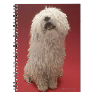 Niedlicher Komondor Hund Notizblock