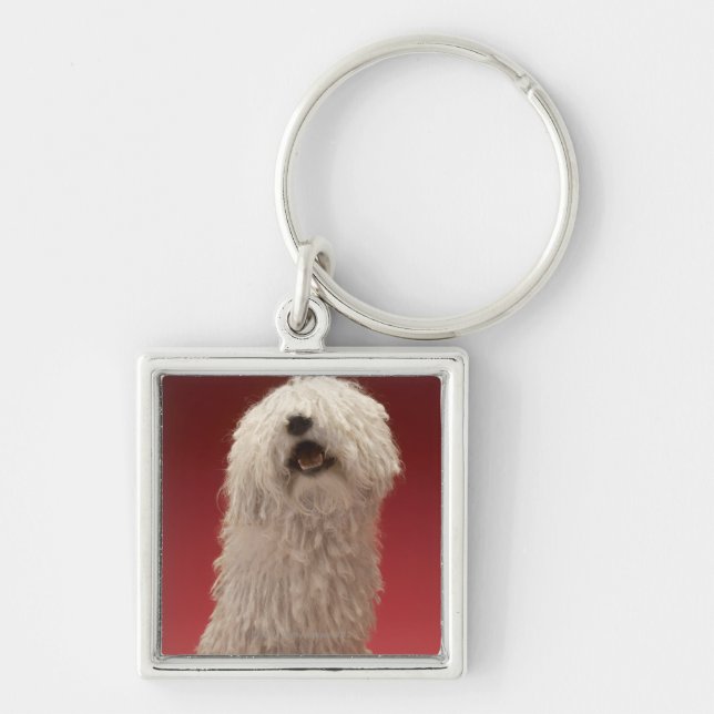 Niedlicher Komondor Hund Schlüsselanhänger (Vorne)