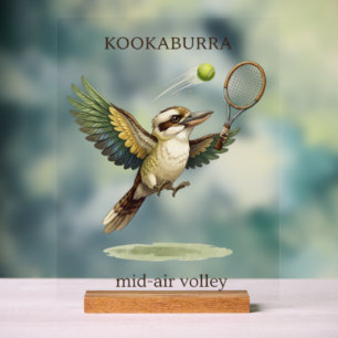 Niedlicher Kookaburra spielt Tennis-Volley in der Acrylschild