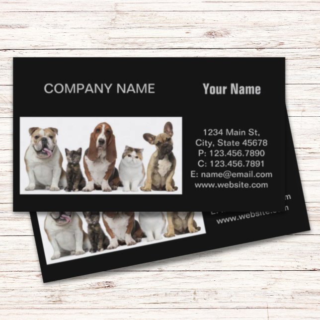 niedlicher kurzer Haarkatzenfreund Basset-Hundshun Visitenkarte (cute short hair cat friends basset hound bull dog business card)