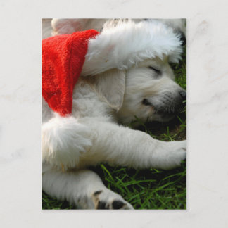 Niedlicher Labrador Welpe mit Weihnachtsmütze Postkarte