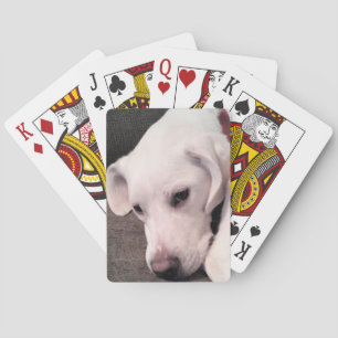 Niedlicher Lazy White Labrador Retriever Mix Dog Spielkarten