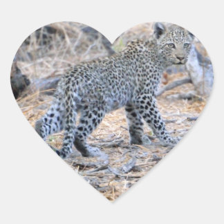 Niedlicher Leopard auf der Schüssel Herz-Aufkleber