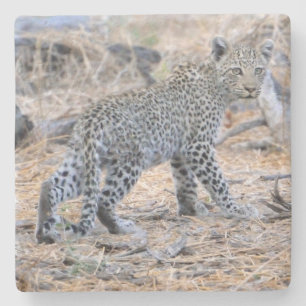 Niedlicher Leopardenschnitt unterwegs. Steinuntersetzer