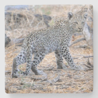 Niedlicher Leopardenschnitt unterwegs. Steinuntersetzer