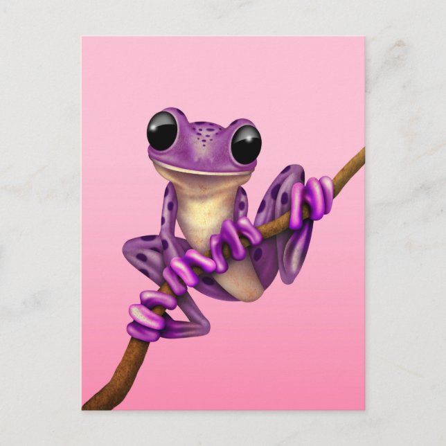 Niedlicher Lila Baum-Frosch auf einer Verzweigung  Postkarte (Vorderseite)