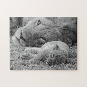Niedlicher Löwe CUB, das beim Vater liegt