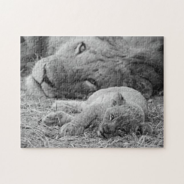 Niedlicher Löwe CUB, das beim Vater liegt (Horizontal)